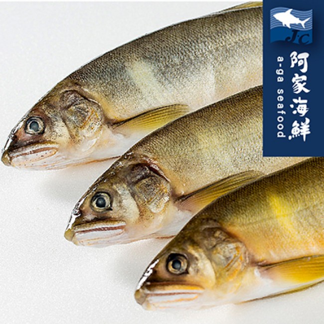 【阿家海鮮】特選宜蘭公香魚(10尾)(1kg±10%/盒)